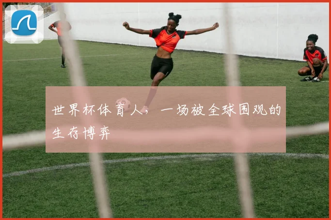 世界杯体育人,一场被全球围观的生存博弈