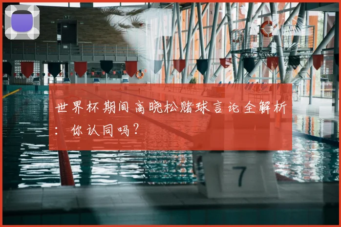 世界杯期间高晓松赌球言论全解析:你认同吗?