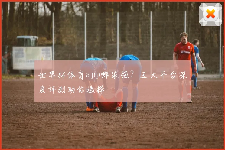 世界杯体育app哪家强?五大平台深度评测助你选择