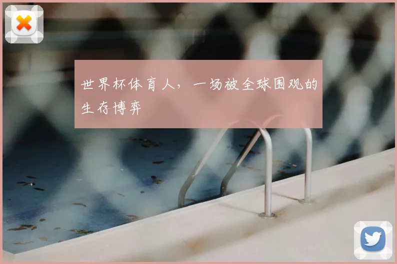 世界杯体育人,一场被全球围观的生存博弈