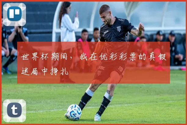 世界杯期间,我在优彩彩票的真假迷局中挣扎